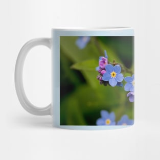 English Forget-me-not in Springtime Mug